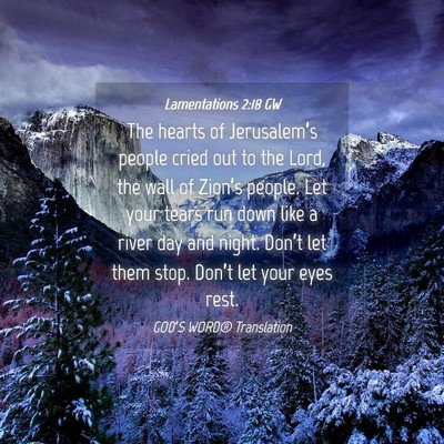 Picture 04 - Lamentations 2:18 GW - The hearts of Jerusalem’s people cried out to - Bible Verse Picture