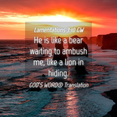 Picture 04 - Lamentations 3:10 GW - He is like a bear waiting to ambush me, like a - Bible Verse Picture