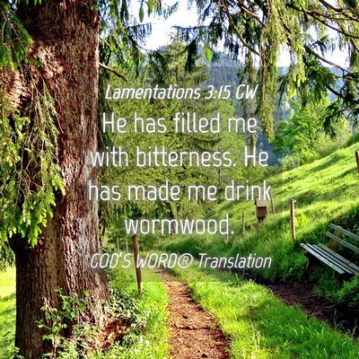 Picture 04 - Lamentations 3:15 GW - He has filled me with bitterness. He has made me - Bible Verse Picture