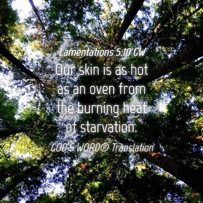Picture 04 - Lamentations 5:10 GW - Our skin is as hot as an oven from the burning - Bible Verse Picture
