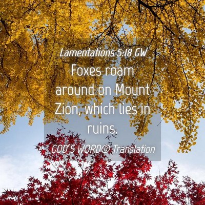 Picture 04 - Lamentations 5:18 GW - Foxes roam around on Mount Zion, which lies in - Bible Verse Picture