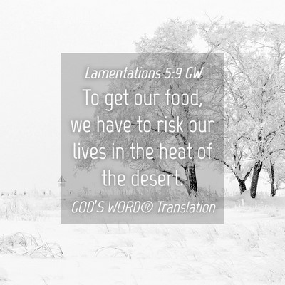 Picture 04 - Lamentations 5:9 GW - To get our food, we have to risk our lives in the - Bible Verse Picture