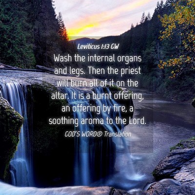 Picture 04 - Leviticus 1:13 GW - Wash the internal organs and legs. Then the - Bible Verse Picture