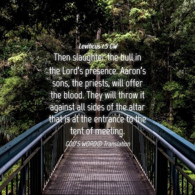 Picture 04 - Leviticus 1:5 GW - Then slaughter the bull in the Lord’s presence. - Bible Verse Picture