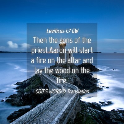 Picture 04 - Leviticus 1:7 GW - Then the sons of the priest Aaron will start a - Bible Verse Picture