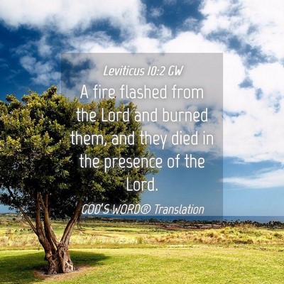 Picture 04 - Leviticus 10:2 GW - A fire flashed from the Lord and burned them, and - Bible Verse Picture