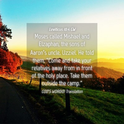 Picture 04 - Leviticus 10:4 GW - Moses called Mishael and Elzaphan, the sons of - Bible Verse Picture