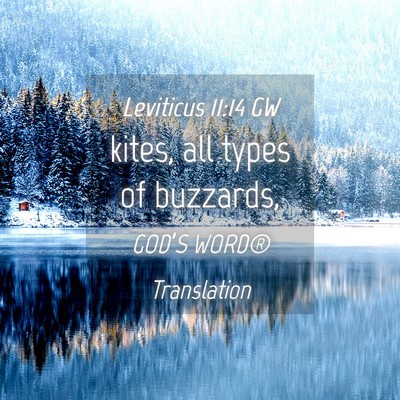 Picture 04 - Leviticus 11:14 GW - kites, all types of - Bible Verse Picture
