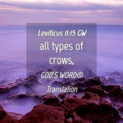 Picture 04 - Leviticus 11:15 GW - all types of - Bible Verse Picture