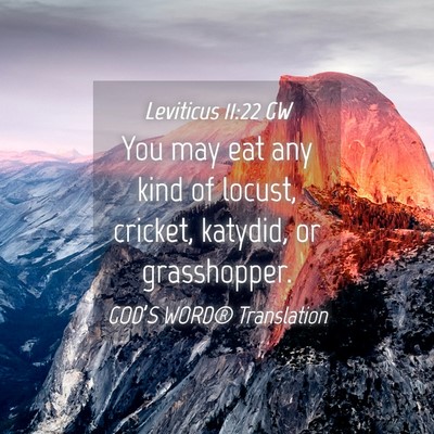 Picture 04 - Leviticus 11:22 GW - You may eat any kind of locust, cricket, katydid, - Bible Verse Picture