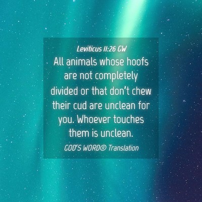 Picture 04 - Leviticus 11:26 GW - All animals whose hoofs are not completely - Bible Verse Picture
