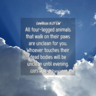 Picture 04 - Leviticus 11:27 GW - All four-legged animals that walk on their paws - Bible Verse Picture