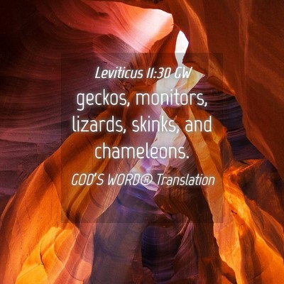 Picture 04 - Leviticus 11:30 GW - geckos, monitors, lizards, skinks, and - Bible Verse Picture