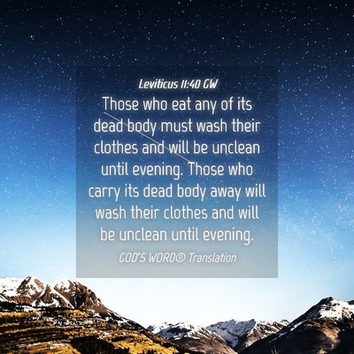 Picture 04 - Leviticus 11:40 GW - Those who eat any of its dead body must wash - Bible Verse Picture