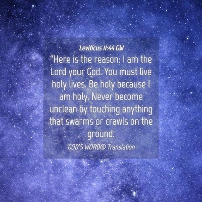Picture 04 - Leviticus 11:44 GW - “Here is the reason: I am the Lord your God. - Bible Verse Picture