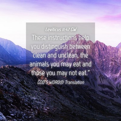 Picture 04 - Leviticus 11:47 GW - These instructions help you distinguish between - Bible Verse Picture