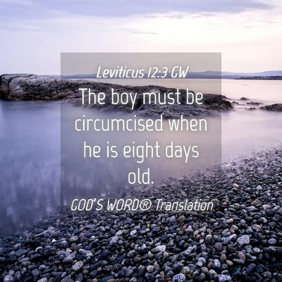 Picture 04 - Leviticus 12:3 GW - The boy must be circumcised when he is eight days - Bible Verse Picture