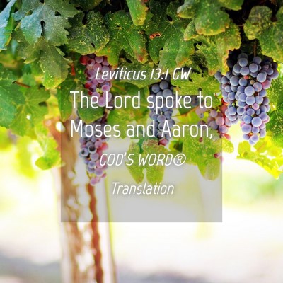 Picture 04 - Leviticus 13:1 GW - The Lord spoke to Moses and - Bible Verse Picture