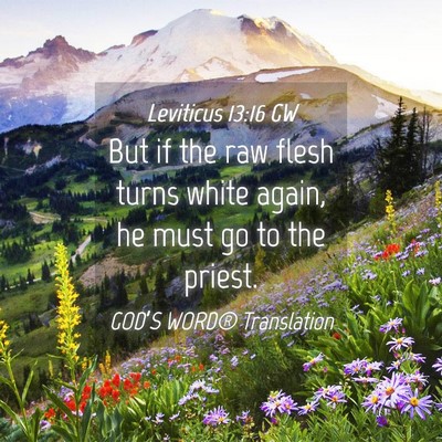 Picture 04 - Leviticus 13:16 GW - But if the raw flesh turns white again, he must - Bible Verse Picture