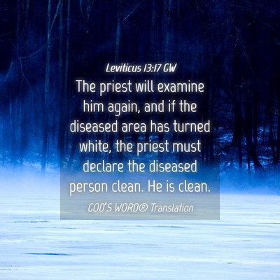 Picture 04 - Leviticus 13:17 GW - The priest will examine him again, and if the - Bible Verse Picture