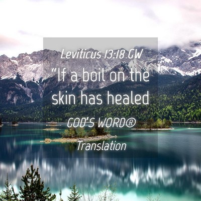 Picture 04 - Leviticus 13:18 GW - “If a boil on the skin has - Bible Verse Picture