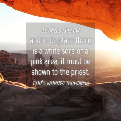 Picture 04 - Leviticus 13:19 GW - and in its place there is a white sore or a pink - Bible Verse Picture
