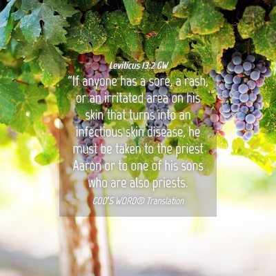Picture 04 - Leviticus 13:2 GW - “If anyone has a sore, a rash, or an irritated - Bible Verse Picture