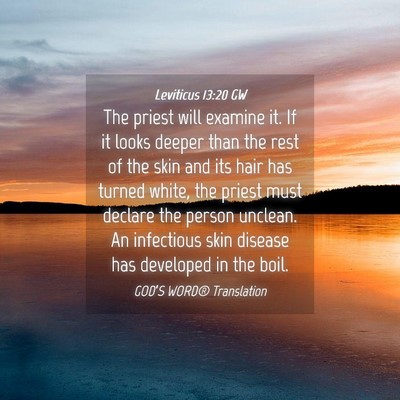 Picture 04 - Leviticus 13:20 GW - The priest will examine it. If it looks deeper - Bible Verse Picture