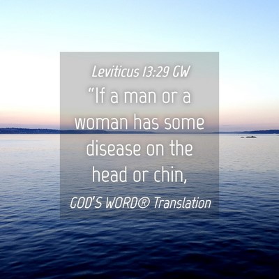 Picture 04 - Leviticus 13:29 GW - “If a man or a woman has some disease on the - Bible Verse Picture