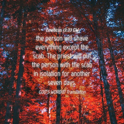Picture 04 - Leviticus 13:33 GW - the person will shave everything except the scab. - Bible Verse Picture