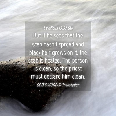 Picture 04 - Leviticus 13:37 GW - But if he sees that the scab hasn’t spread and - Bible Verse Picture
