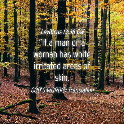 Picture 04 - Leviticus 13:38 GW - “If a man or a woman has white irritated areas - Bible Verse Picture
