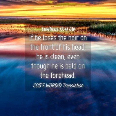 Picture 04 - Leviticus 13:41 GW - If he loses the hair on the front of his head, he - Bible Verse Picture