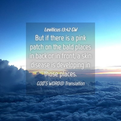 Picture 04 - Leviticus 13:42 GW - But if there is a pink patch on the bald places - Bible Verse Picture