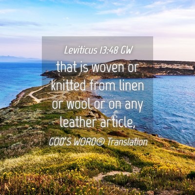 Picture 04 - Leviticus 13:48 GW - that is woven or knitted from linen or wool or on - Bible Verse Picture