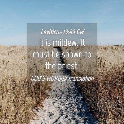 Picture 04 - Leviticus 13:49 GW - it is mildew. It must be shown to the - Bible Verse Picture