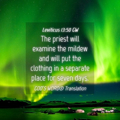 Picture 04 - Leviticus 13:50 GW - The priest will examine the mildew and will put - Bible Verse Picture