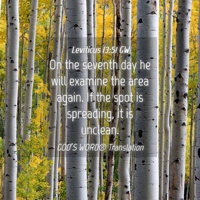 Picture 04 - Leviticus 13:51 GW - On the seventh day he will examine the area - Bible Verse Picture