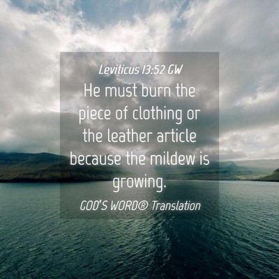 Picture 04 - Leviticus 13:52 GW - He must burn the piece of clothing or the leather - Bible Verse Picture