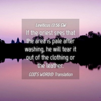 Picture 04 - Leviticus 13:56 GW - If the priest sees that the area is pale after - Bible Verse Picture