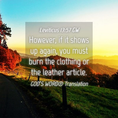 Picture 04 - Leviticus 13:57 GW - However, if it shows up again, you must burn the - Bible Verse Picture