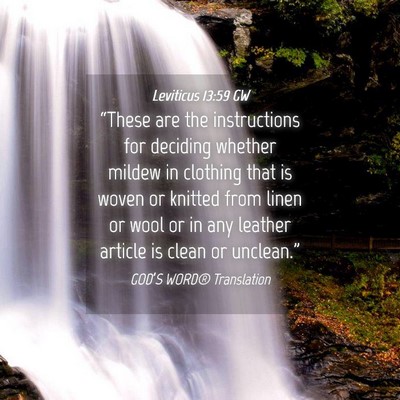 Picture 04 - Leviticus 13:59 GW - “These are the instructions for deciding - Bible Verse Picture