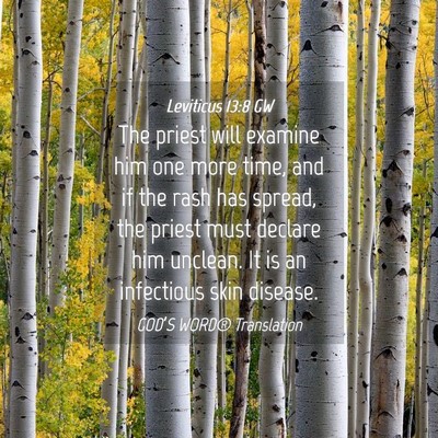 Picture 04 - Leviticus 13:8 GW - The priest will examine him one more time, and if - Bible Verse Picture