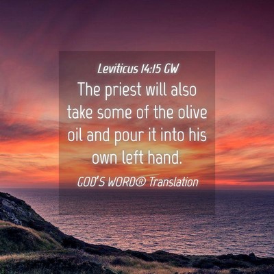 Picture 04 - Leviticus 14:15 GW - The priest will also take some of the olive oil - Bible Verse Picture