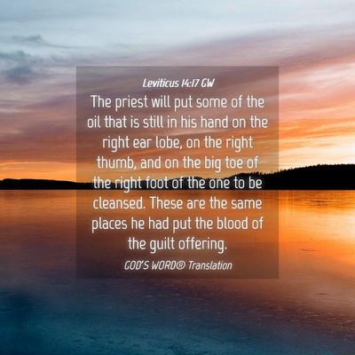 Picture 04 - Leviticus 14:17 GW - The priest will put some of the oil that is still - Bible Verse Picture