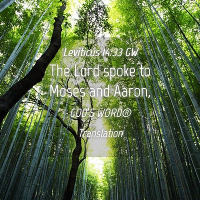 Picture 04 - Leviticus 14:33 GW - The Lord spoke to Moses and - Bible Verse Picture