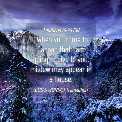 Picture 04 - Leviticus 14:34 GW - “When you come to Canaan that I am going to - Bible Verse Picture