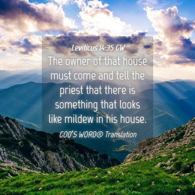 Picture 04 - Leviticus 14:35 GW - The owner of that house must come and tell the - Bible Verse Picture