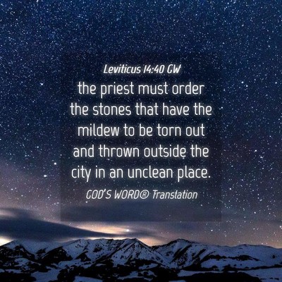 Picture 04 - Leviticus 14:40 GW - the priest must order the stones that have the - Bible Verse Picture