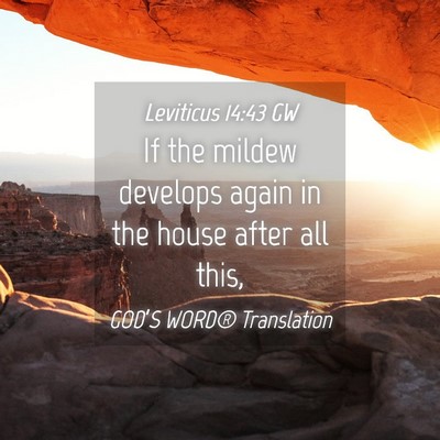 Picture 04 - Leviticus 14:43 GW - If the mildew develops again in the house after - Bible Verse Picture